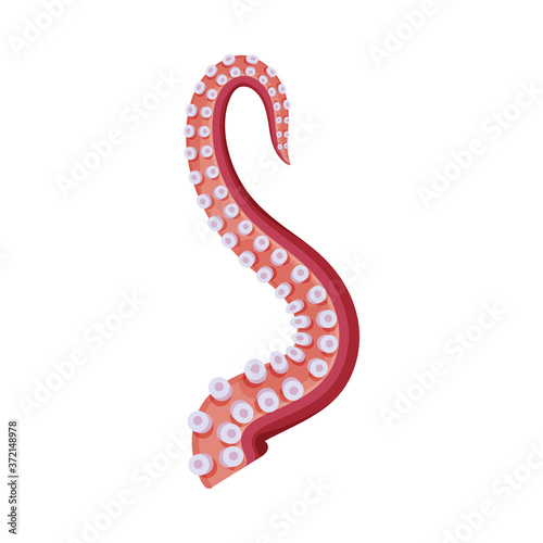 Octopus Tentacle, Seafood, Sea Creature Body Part Vector Illustration