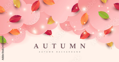 Autumn banner background with autumn leaf on cloud