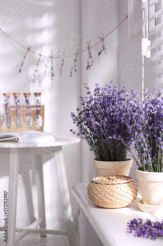 Beautiful lavender flowers on window sill indoors
