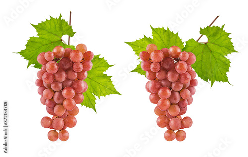 Grapes isolated on white background with clipping path