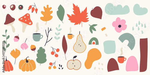 Big set of hand drawn various shapes, leaves, mushrooms and etc. Autumn theme. Trendy vector illustrations. Every background is isolated.