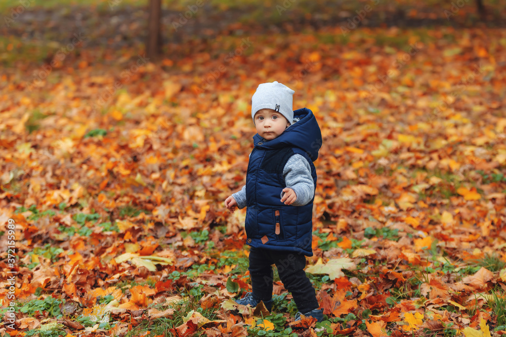 Two years old boy standing in park in beautiful autumnal day Two years old boy standing in park in beautiful autumnal day