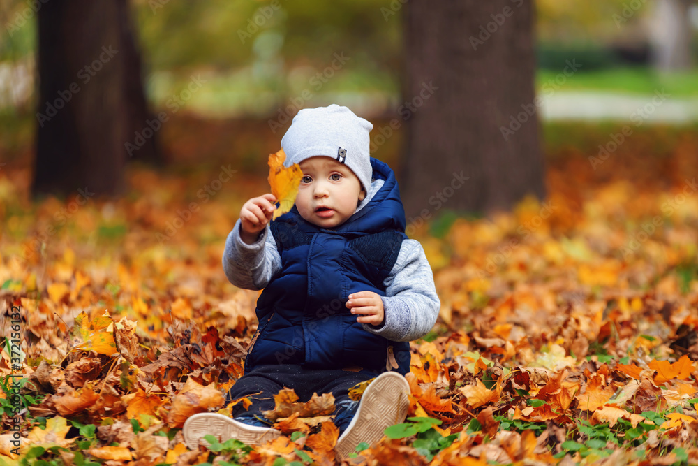 Little caucasian boy holding an orange leaf Little caucasian boy holding an orange leaf