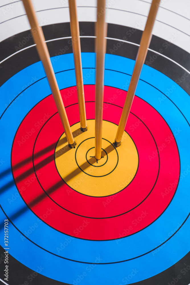 Target for archery with arrows Target for archery with arrows