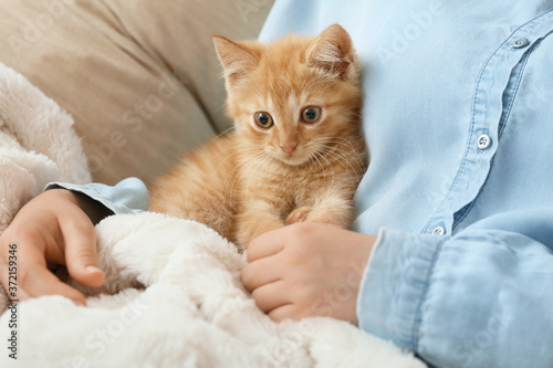 Woman with cute funny kitten in armchair at home, closeup