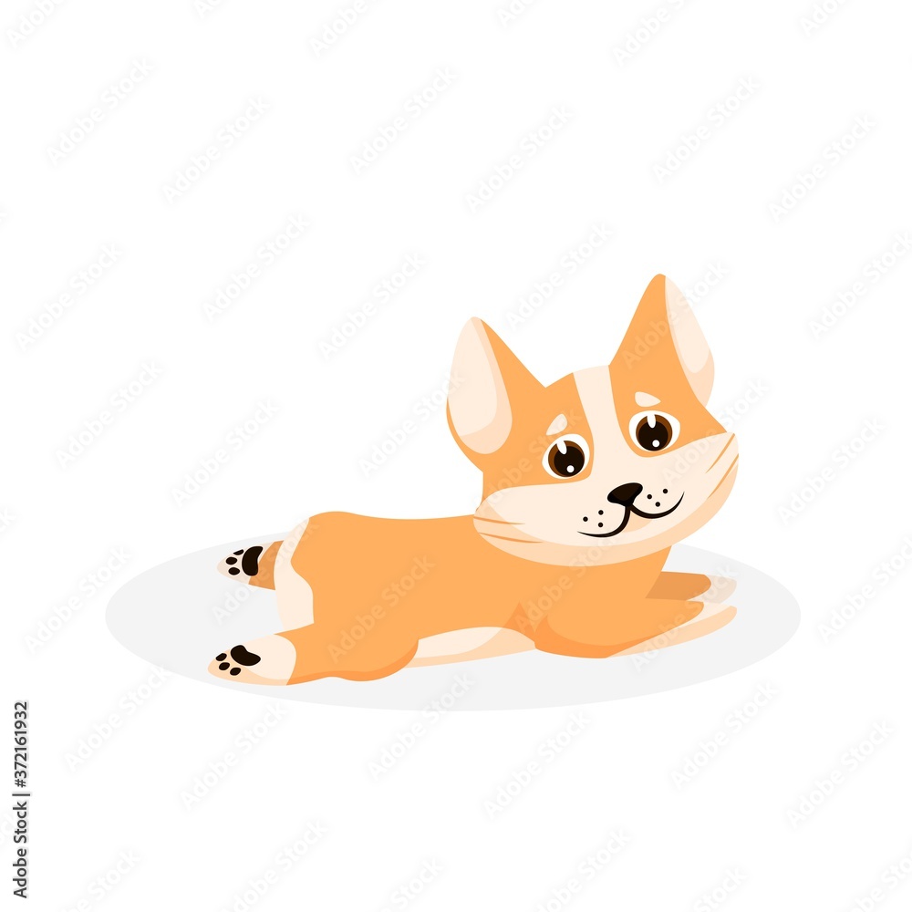 Fototapeta premium Corgi puppy. Isolated playful purebred red corgi dog puppy icon. Cute funny doggy pet animal cartoon character lying on floor