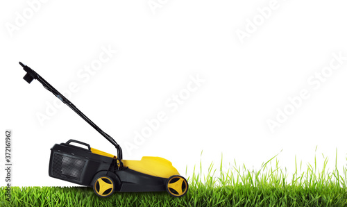 Modern garden lawn mower cutting green grass, white background