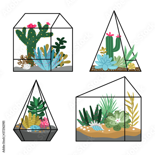 Floral terrariums planting. Cartoon gardens with succulents and cactuses, hand drawn cute nature in geometric terrariums, vector illustration concept of gardening isolated on white