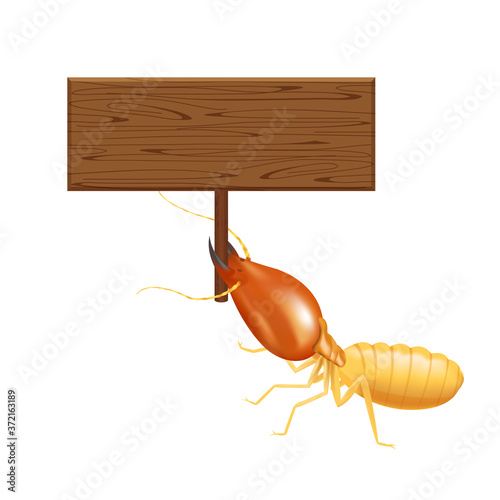 termite, clip art termites and wooden signs isolated on white background, insect species termite ant eaten wood decay and damaged wooden bite, cartoon termite and wood frame for copy space text