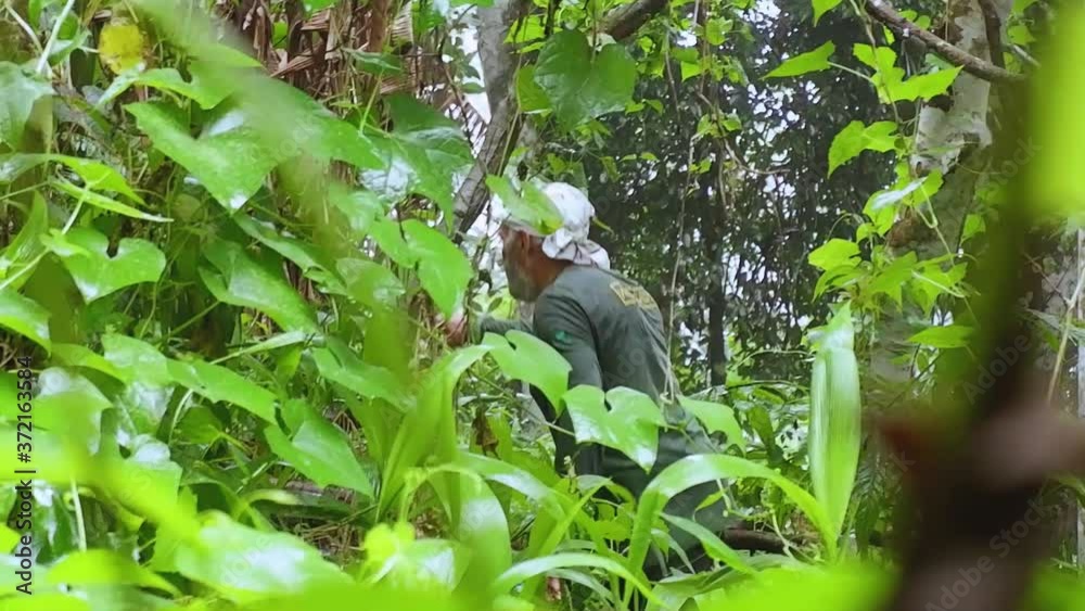 A man is eating in the woods. It's a jungle. A man is eating in the woods. It's a jungle.