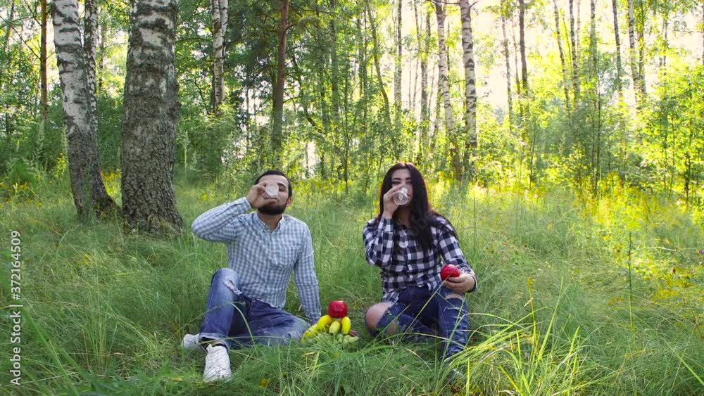 Young people after drinking wine hug. Picnic in the sunny forest. On a green lawn. Warm summer day. Camping. Declaration of love. UHD. Young people after drinking wine hug. Picnic in the sunny forest. On a green lawn. Warm summer day. Camping. Declaration of love. UHD.