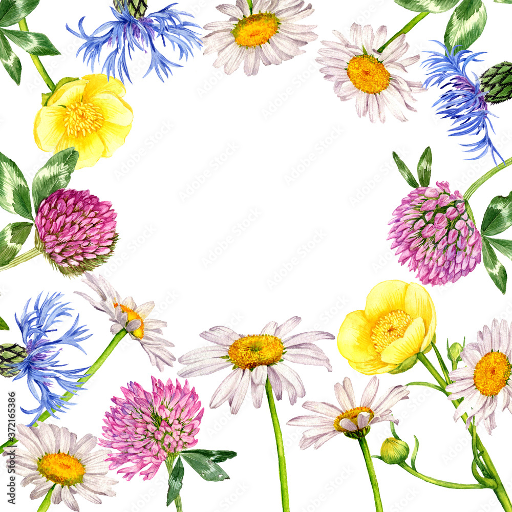 watercolor drawing flowers watercolor drawing flowers