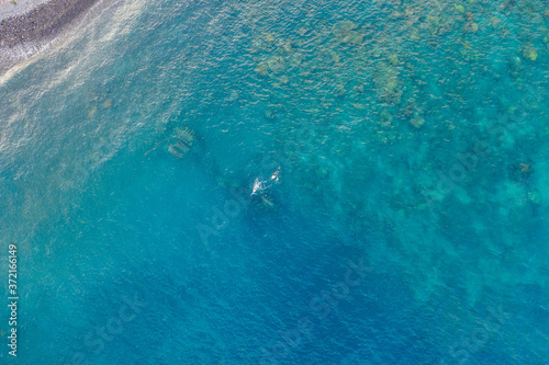 Three people snorkling in the ocean in Amed, Bali, Indonesia