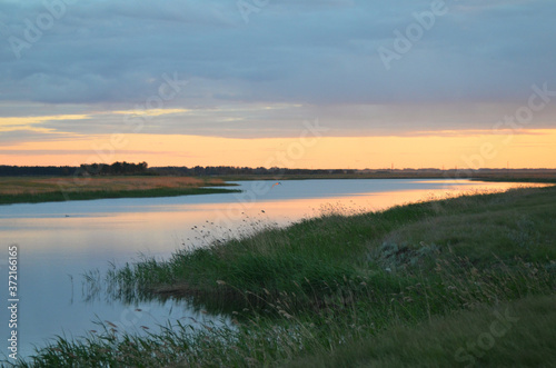 sunset on the lake in summer, landscape overgrown with green grass