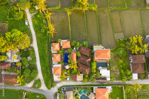 Green rice fields, villas, palms. Ubud, Bali, Indonesia.