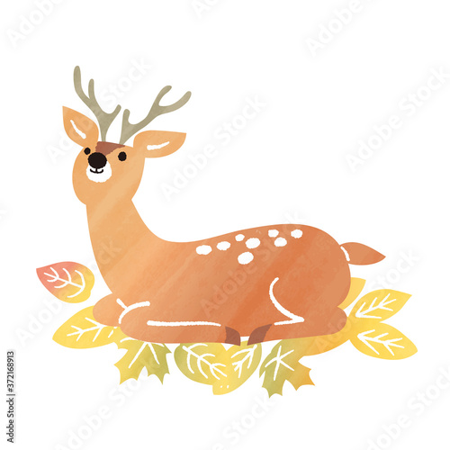 autumn watercolor deer
