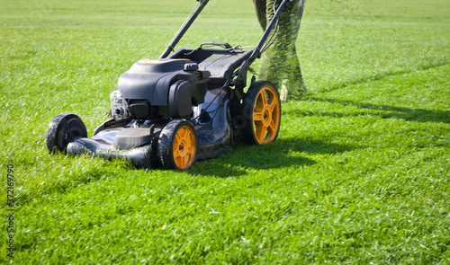 Worker guy shake pour grass from lawn mower bag into wheelbarrow. Garden meadow lawn cutting. Summer works in garden. Static shot.