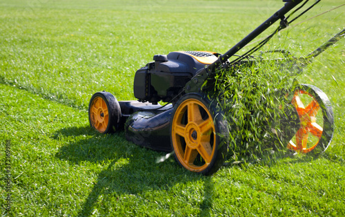 Lawn mower tractor effectively cutting off the tall grasses in the lawn. The red lawn mower is doing its job in cutting off the grasses photo