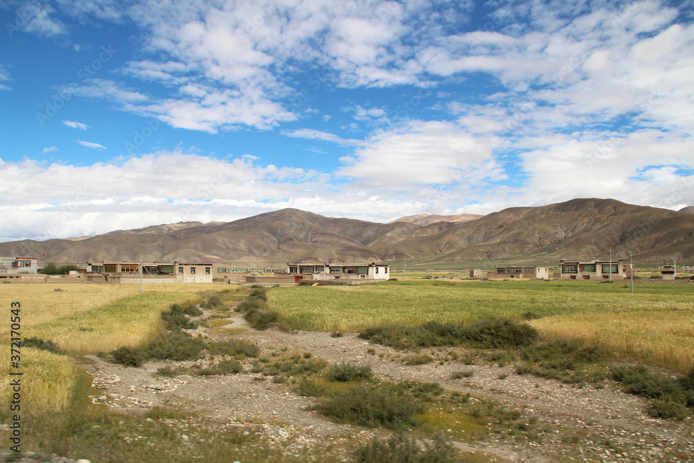 Tibetan Village and the highland barley field in a sunny day, Tibet, China 