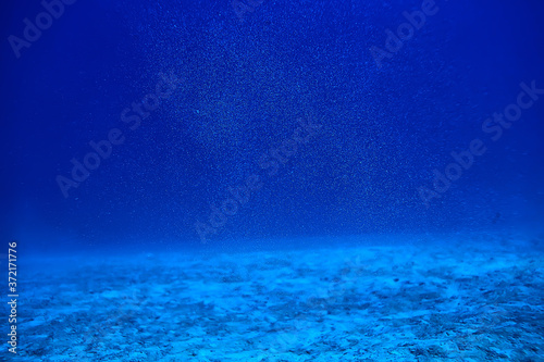 coral reef underwater landscape, lagoon in the warm sea, view under water ecosystem