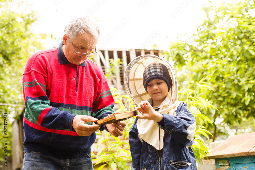 beekeeper grandfather and grandson examine a hive of bees beekeeper grandfather and grandson examine a hive of bees