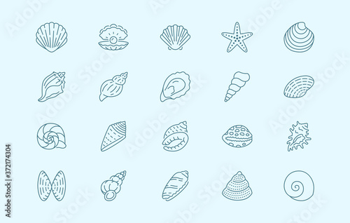 Seashell, oyster, scallop line icons. Vector illustration included icon as nautilus, spiral shell, starfish blue outline pictogram for beach mollusk infographic