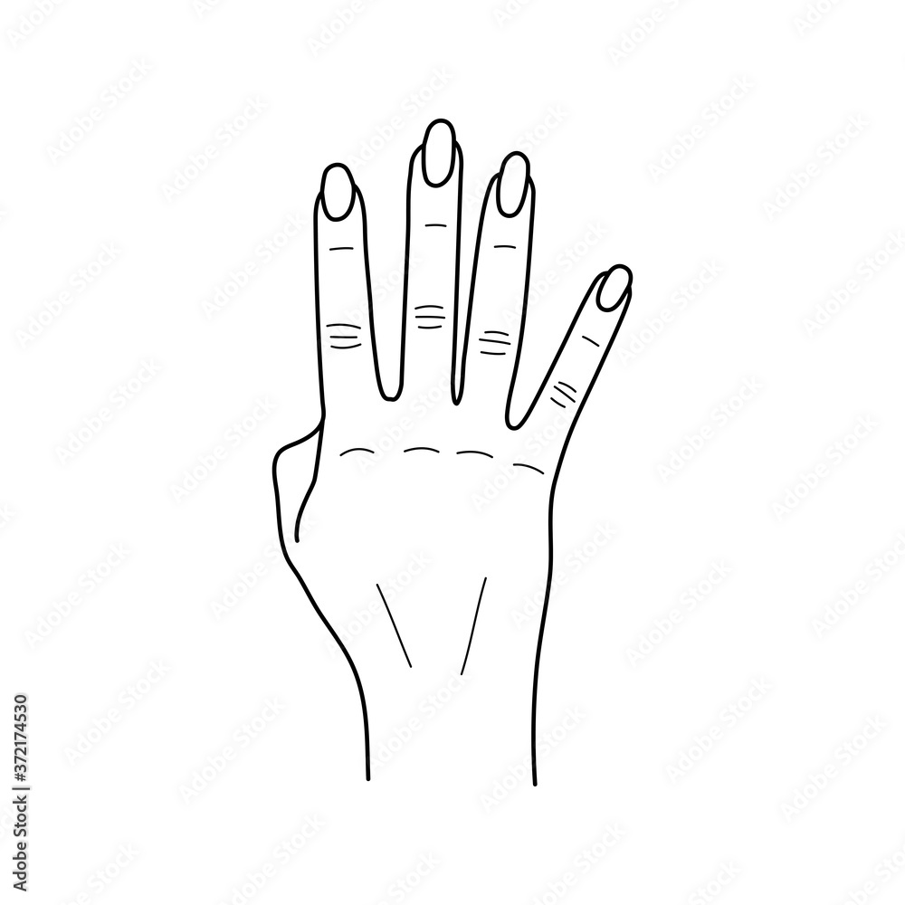 Left Hand Back Drawing