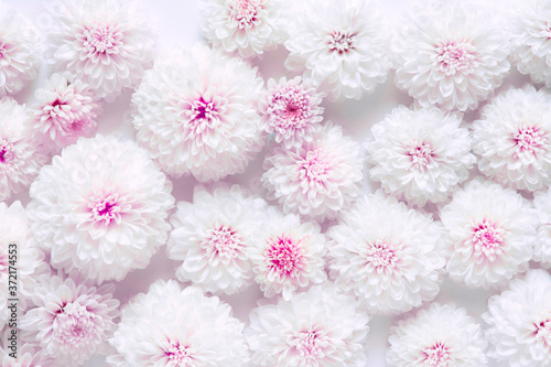 White flowers on a white background © tamayura39