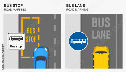 Road markings meaning infographic. Bus stop and bus lane markings. Traffic sign rule. Flat vector illustration template.