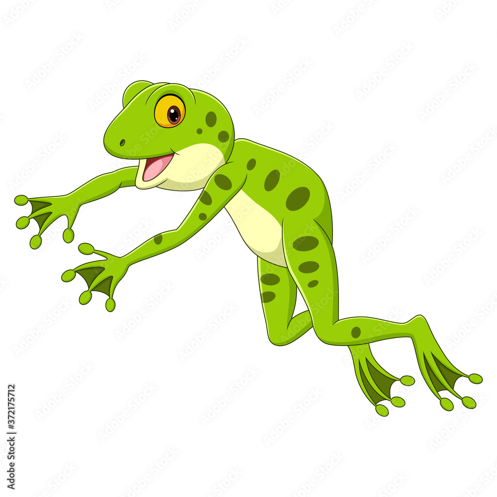 Fototapeta premium Cartoon funny frog leaping on white background