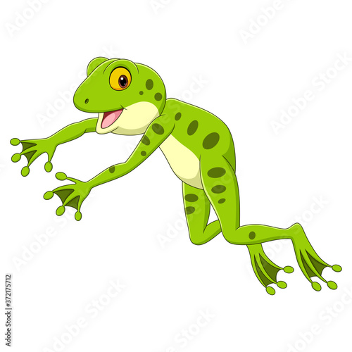 Cartoon funny frog leaping on white background