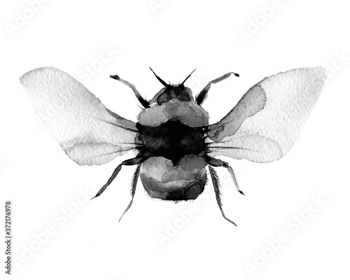Black Watercolor bee Hand Painted Illustration isolated on white background. For holiday, postcard, poster, banner and website.