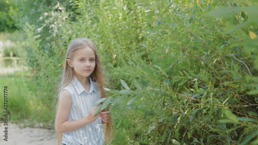A beautiful girl stands by the green bushes. Portrait of a little girl. A beautiful girl stands by the green bushes. Portrait of a little girl.