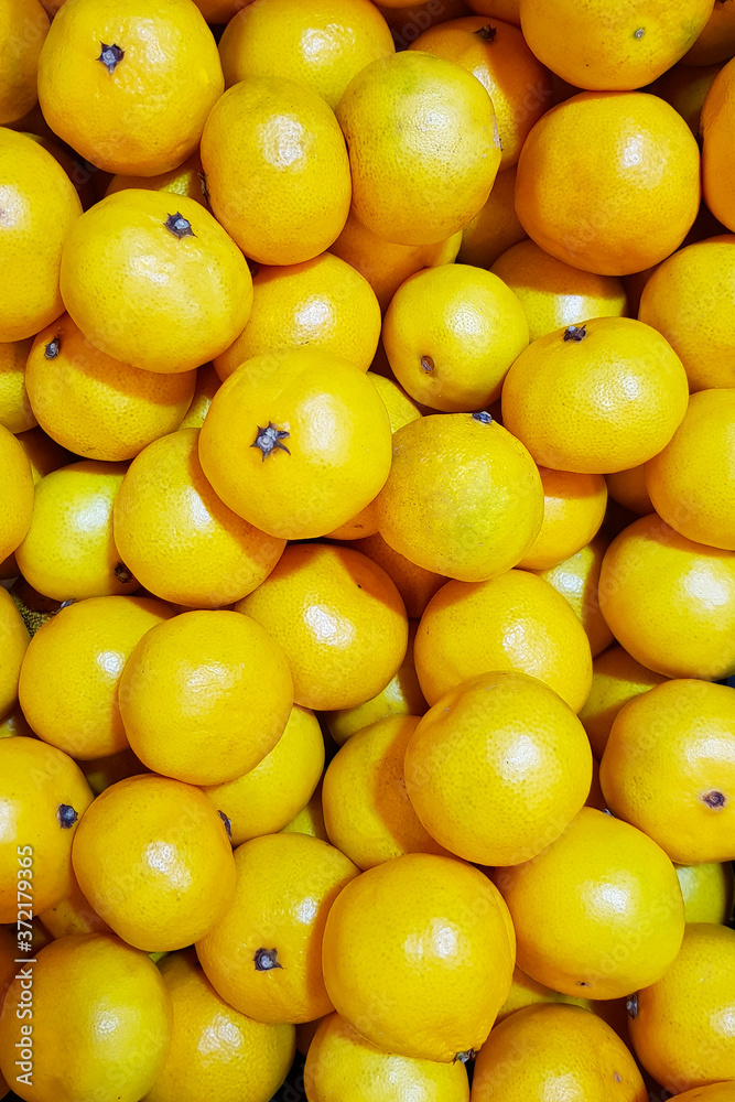 Colorful showing yellow mature lemons as background