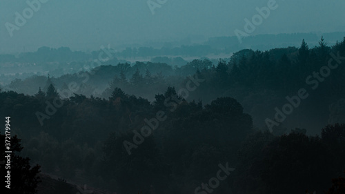 Heide in Posbank im Morgengrauen mit Nebel © Sandwurm79