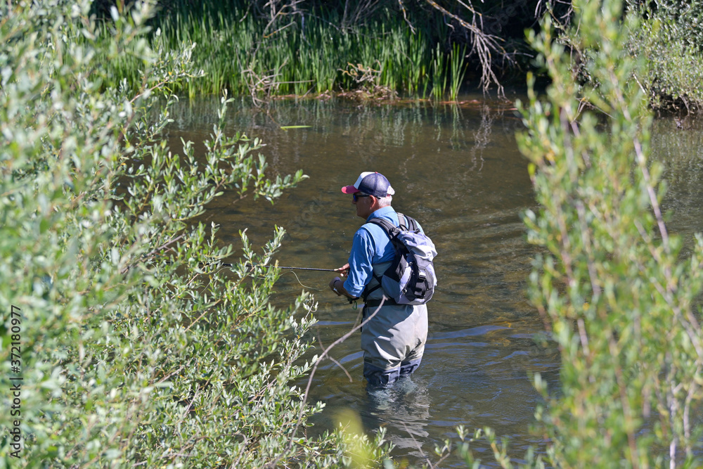 fly fisherman in summer fishing in a mountain river with waders and a cap fly fisherman in summer fishing in a mountain river with waders and a cap