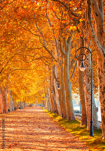 Pathway at lake Balaton in ...