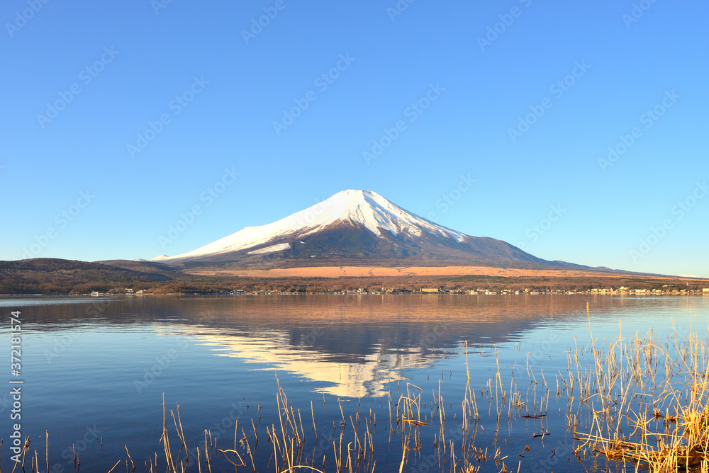 富士　富士山　山梨県山中湖付近の風景