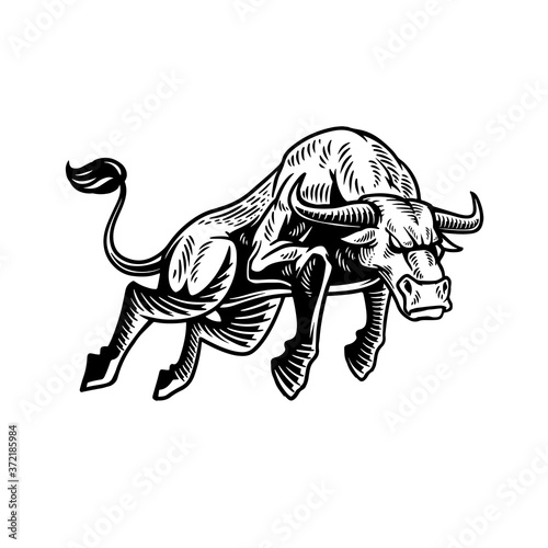 Monochrome hand drawn bull ...
