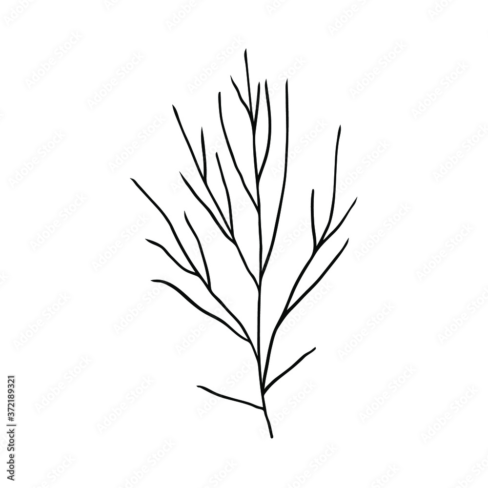 Fototapeta premium Bush with bare branches. Hand drawn vector isolated element for design.