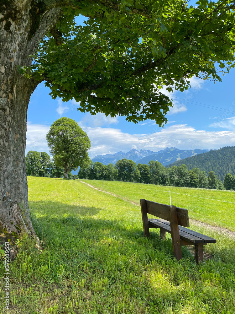 Landscape in Ramsau am Dachstein, Austria. Landscape in Ramsau am Dachstein, Austria.