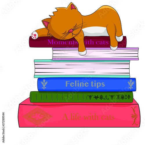 Vector illustration of a cat sleeping on books