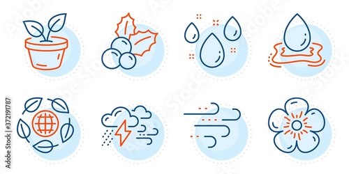 Water splash, Eco organic and Natural linen signs. Christmas holly, Windy weather and Rainy weather line icons set. Leaves symbol. Ilex aquifolium, Wind. Nature set. Outline icons set. Vector