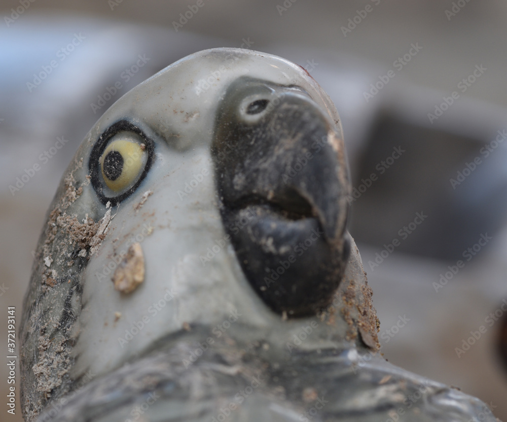 Macro image of a ceramic parrot within a ruin in the Scottish Highlands