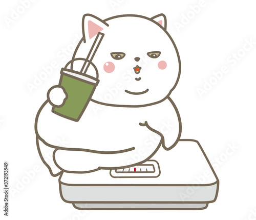体重を計る猫