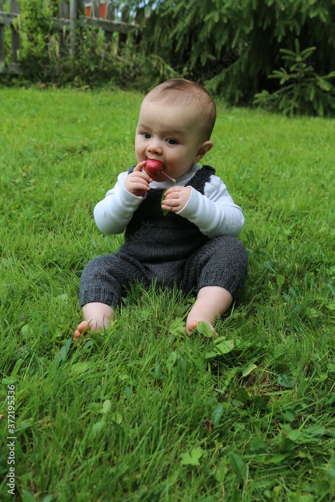 Mixed race baby boy eating apple