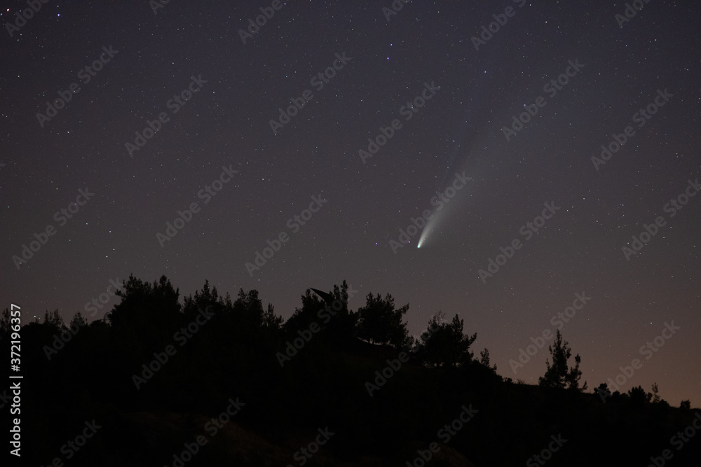 Comet Neowise in the starry night sky.