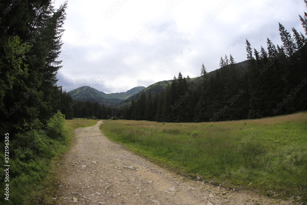 Tatra mountains in Summer Tatra mountains in Summer