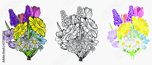 Hand drawn vector spring flower. Separate in outline and color.