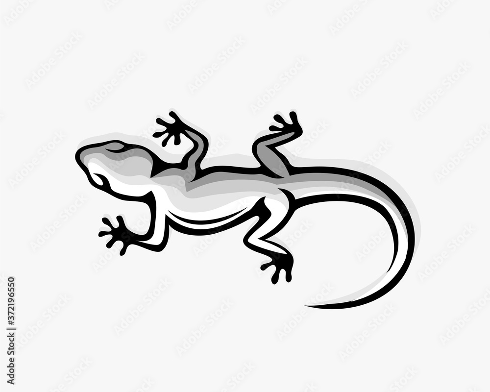 Gecko creep wall drawing art design illustration Gecko creep wall drawing art design illustration